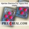 Ajantas Stamina For Vigour And Vitality 14